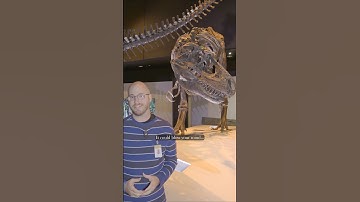 Looking closer at dinosaur fossils can absolutely blow your mind! #fossil #dinosaur #paleontology