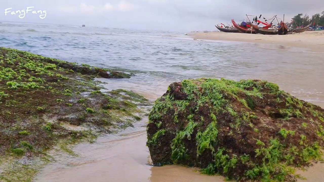 Biển Mỹ Thủy, Quảng Trị - Hòn ngọc chưa được mài dũa - My Thuy Beach in