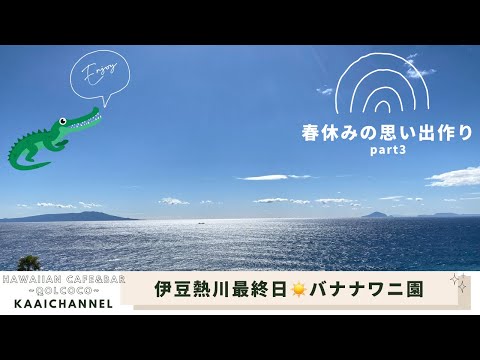 春休みの思い出作り🌸👦伊豆熱川最終日☀️やっと晴れた‼️バナナワニ園で本物のワニに怯えた日🐊