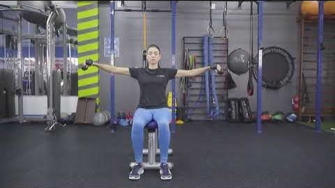 Elevação Lateral Isometria Sentado com Halteres