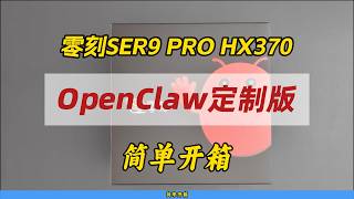 ser9 Pro Hx370 Openclaw