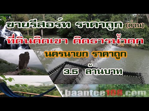 ขายที่ดินติดธารน้ำตก ติดเขา พร้อมรีสอร์ท นครนายก ราคาถูก 3.5 ล้านบาท ที่พักกางเต้นท์ สนใจ096-2829253