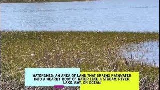 What is a watershed?