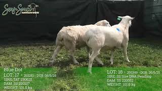 Lot 17 & 18