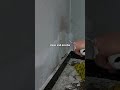 "Satisfying Wall Repair Technique | Fixing Damaged Wall with Putty Knife | Smooth Plastering ASMR"