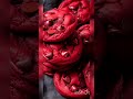 Red is delicious 😋#like #ytshorts #subscbribe #blackpink❤️❤️
