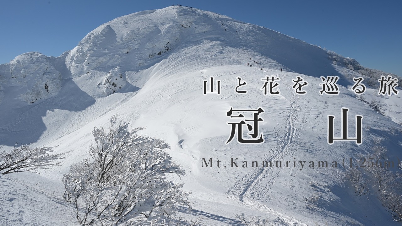 【登山】冠山（奥美濃のマッターホルンと呼ばれる三百名山に登りました）