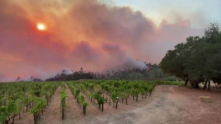 Thousands In Northern California Under New Evacuation Order As More Wind-Driven Wildfires Ignite