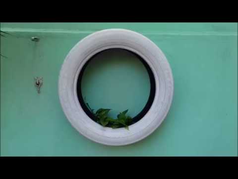 Vídeo: Como você muda o pneu de um trator em um jardim?