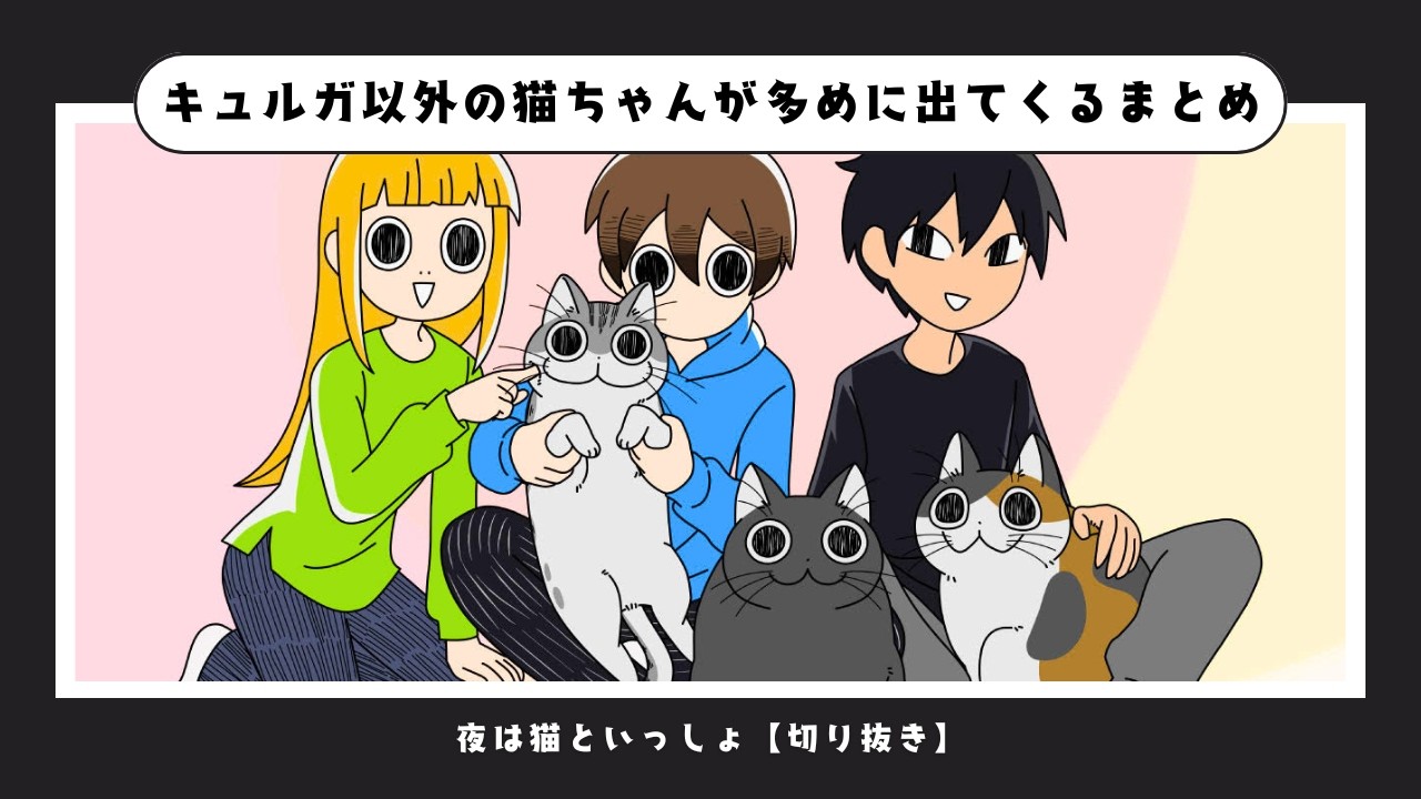 アニメ『夜は猫といっしょ』第59夜「前足の位置にちょっと悩むネコ