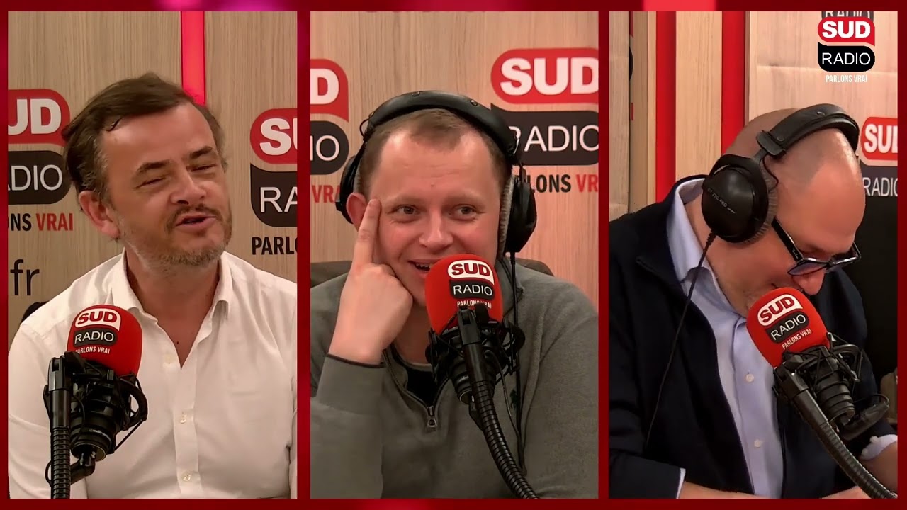 Nuisibles : comment s’en débarrasser ?