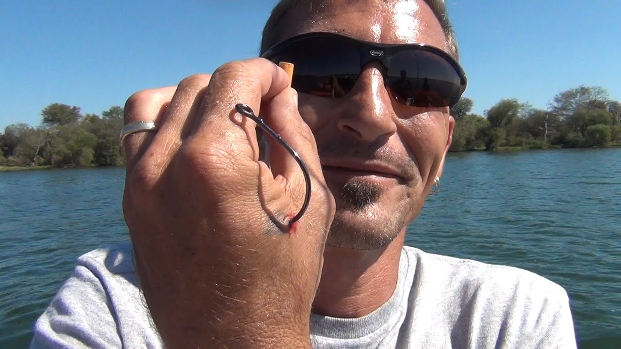 Hook Removal How To Remove A 10 0 Circle Hook YouTube Hook Removal How To Remove A 10 0 Circle Hook YouTube