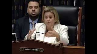 Subcommittee Chairman Ros-Lehtinen Questions Witnesses at Hearing on Egypt