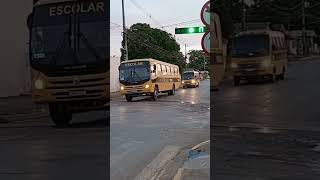 neobus Thunder midi escolar on 104 volare v8l escolar on 55