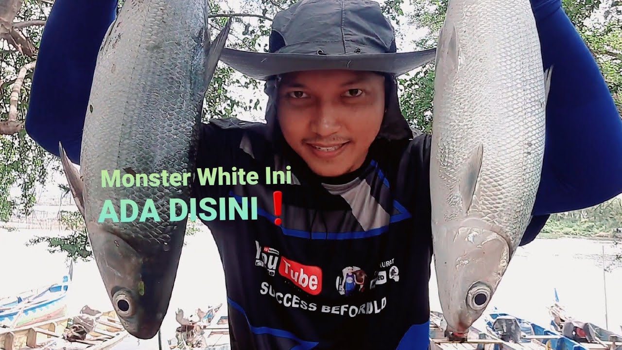 Spot Mancing Muara Marina POJ City Semarang❗Fishing Strike Mania❗Ikan Babon Monster Ada Disini❗