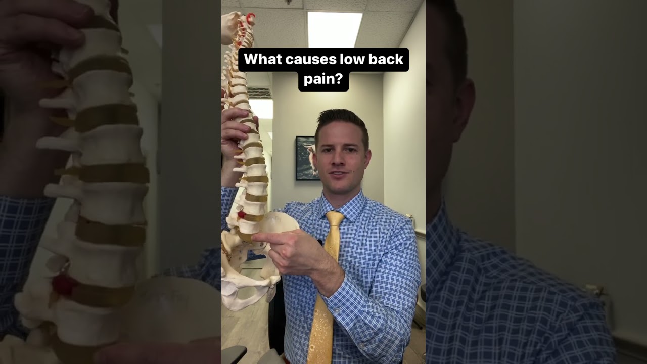 What Causes Low Back Pain? 