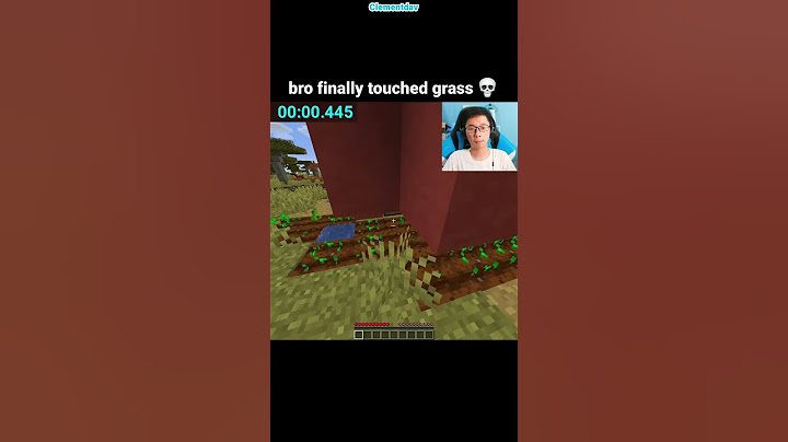 Minecraft Touch Grass Moment