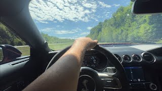 800hp SHELBY GT500 CHILL POV DRIVE 💪🏽🐍