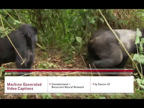 Video till Så här ser ett neuralt nätverk världen