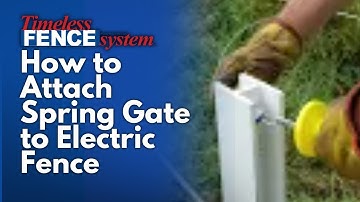 Stop Wasting Time! The Perfect Spring Gate Setup Everyone Swears By