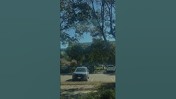 Cisco Systems company