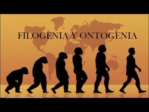 Video: ¿Cuál es la definición de autogenia?