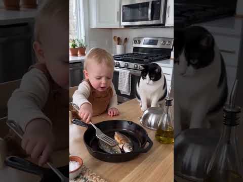 cute little cat #cat #baby #warm thumbnail