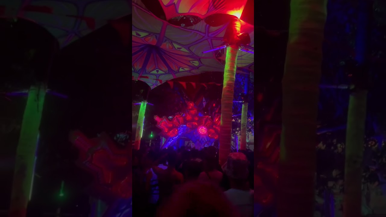 Tristan live @hilltopgoa 