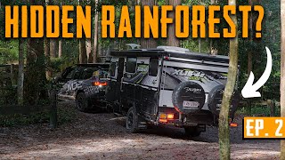 Exploring The Tropical Rainforest on KGari Island | MDC Australia Adventure Episode 2