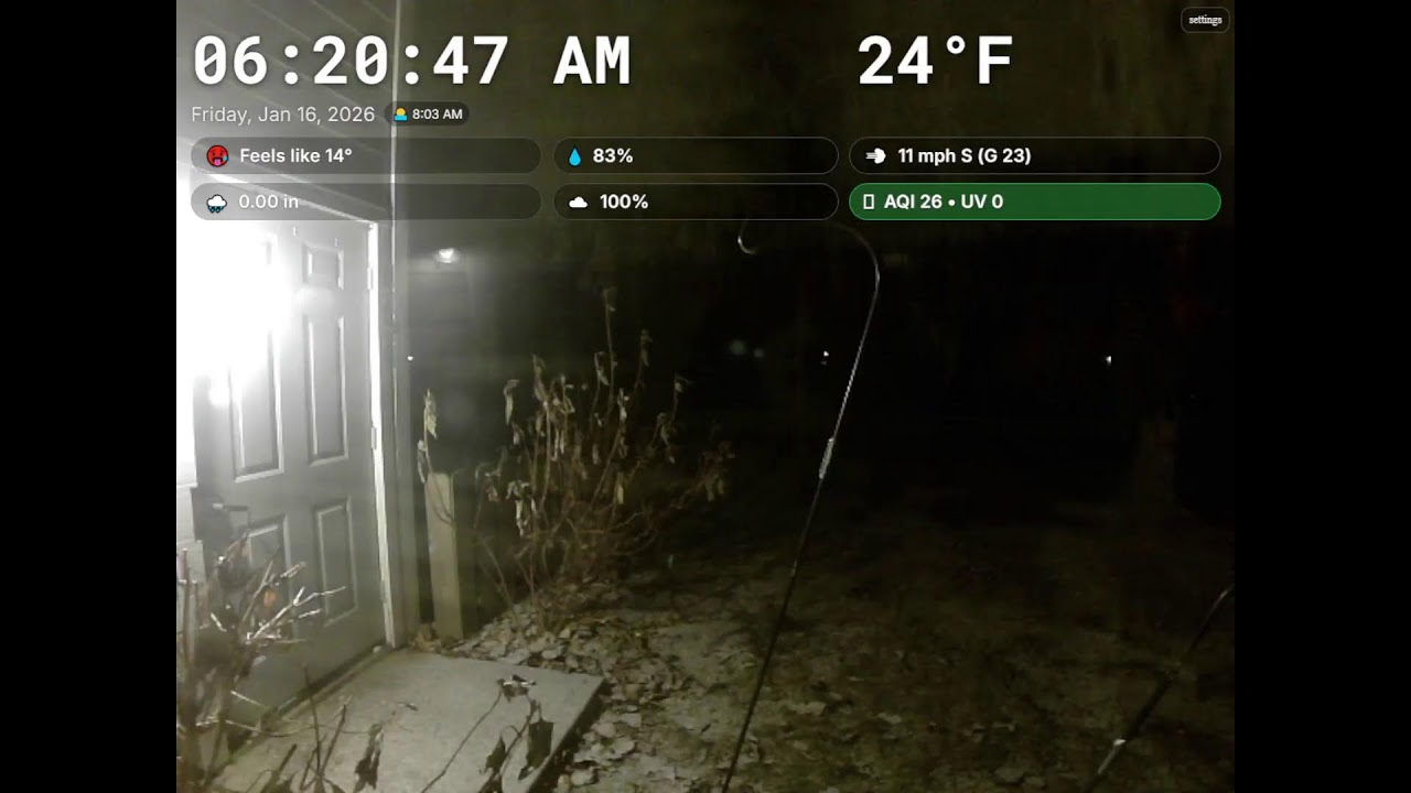 Backyard Live Stream2026-01-15