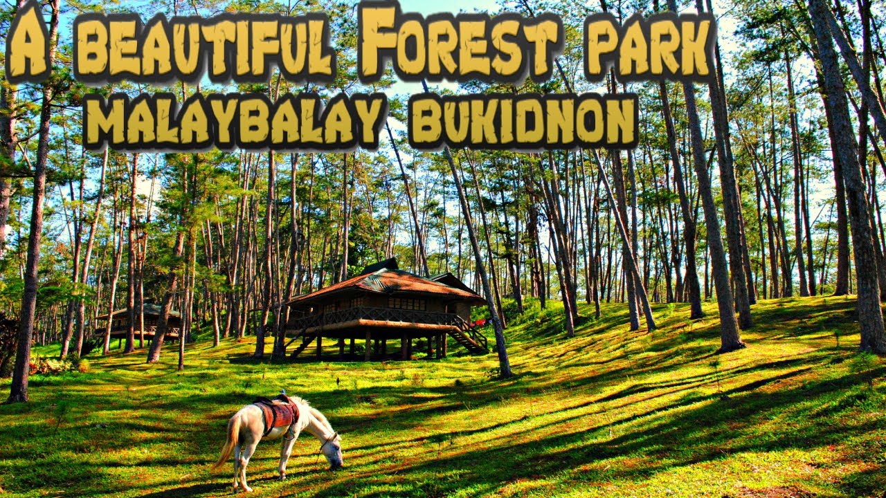 malaybalay city tourist spots