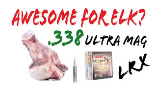 .338 DESTROYS Elk Simulation: Ultra Mag vs. Shoulder Knuckle