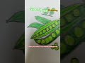 How to Draw Green Peas#ytshorts #shorts #vegetables #reels #drawing #artwork