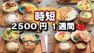 時短料理のコツ【夜ご飯 1週間献立】30分で夕飯を作るコツ 節約レシピ 5日の献立 おかず2500円　(´・ω・`)（●｀ε´●）2人暮らし(2024年4月)(528)