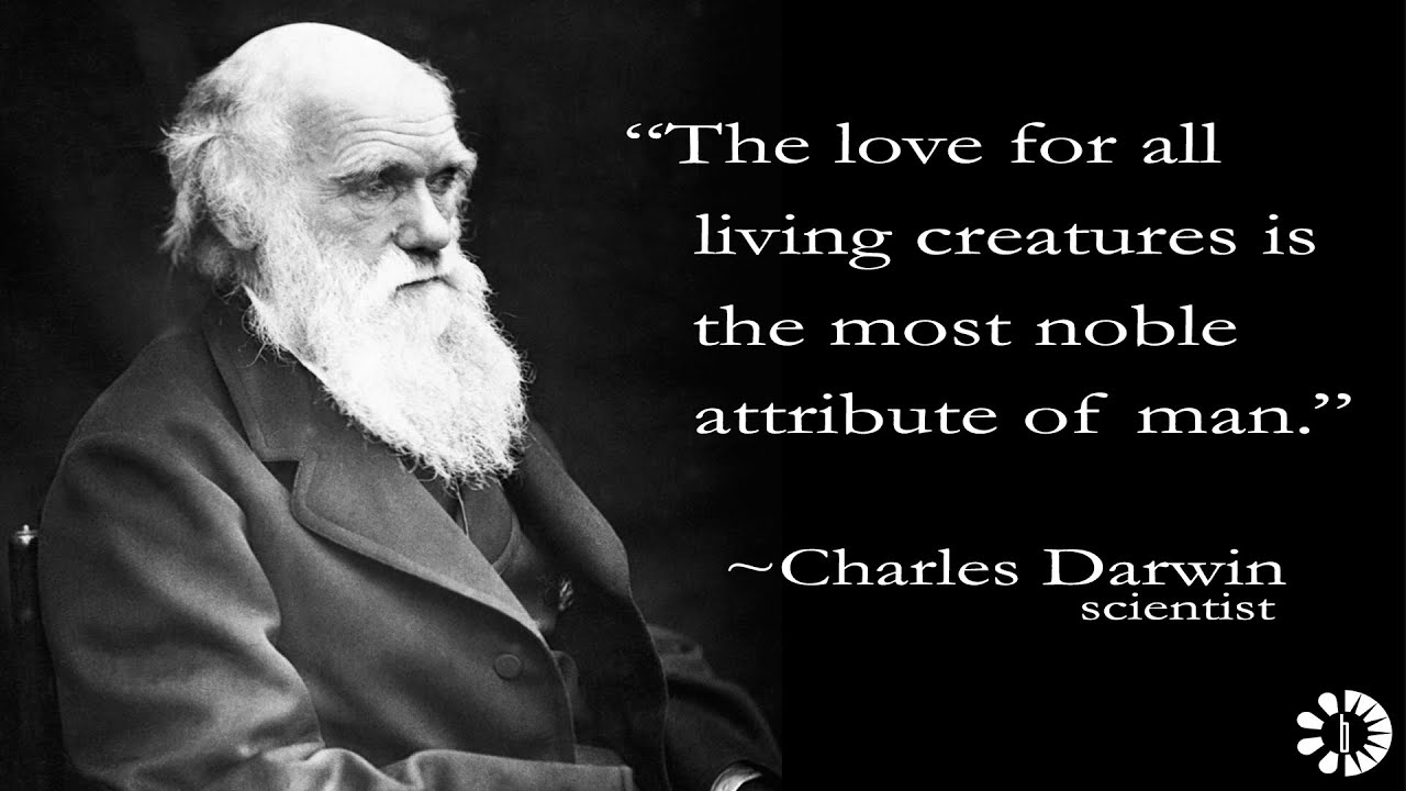 Charles Darwin's Quotes A life changing words for love 2024