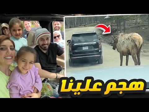 اسامة مروة وانس واصالة رحنا حديقة حيوانات ???? شوفو شو صار ????