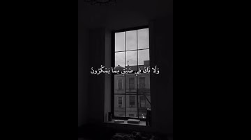 #القرآن_الكريم #راحة_نفسية #سورة_النحل #سورة_النحل #القرآن مواساة ربانيه♥️