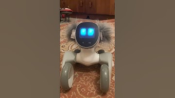 #shorts  KEYi Technology Your Loona Petbot New Robotic Pet ChatGPT Questions  #loona #funny #chatgpt