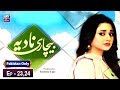 Watch Bechari Nadia Episode 23 & 24 - ARY Zindagi Drama Online In HD