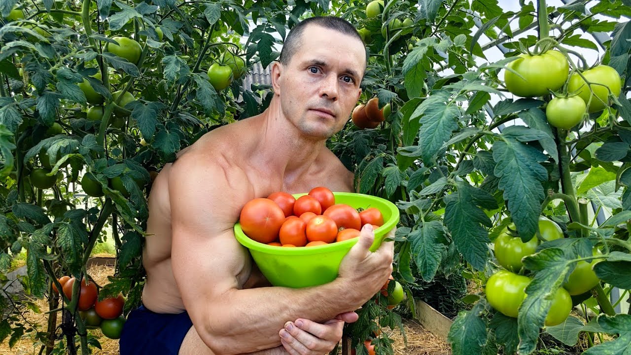 Продукты на массу. Питание Шреддера. Структура тренировок. Ответы на вопросы