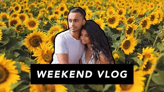 Weekend Vlog 2020 |  The Patch MK Sunflowers & Kenwood House