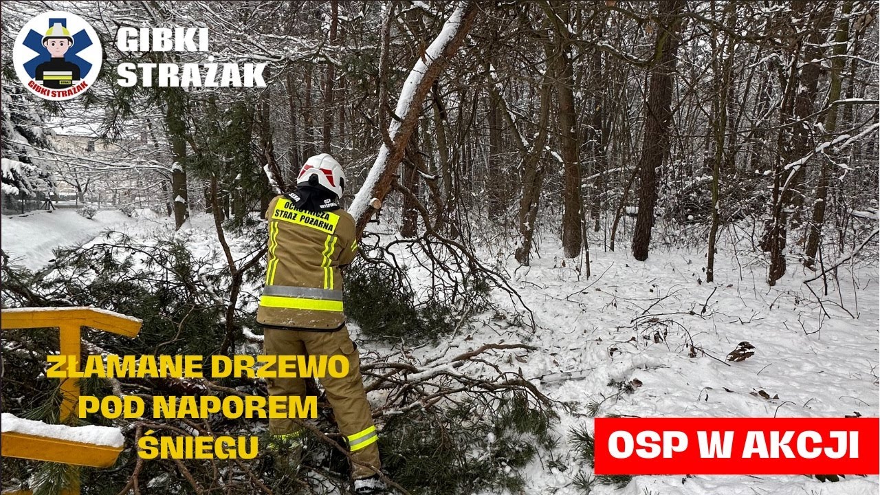 NAGŁA ŚNIEŻYCA I POŁAMANE DRZEWA - [OSP ALARMOWO]