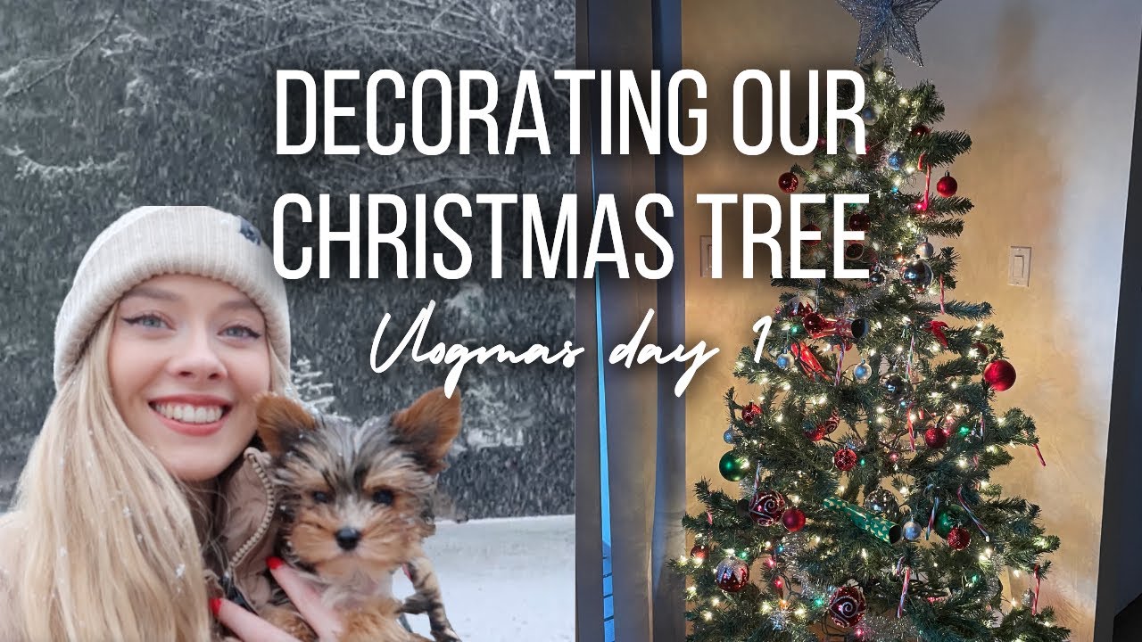 Vlogmas 2022 Day 1: Putting up + decorating our Christmas tree - YouTube