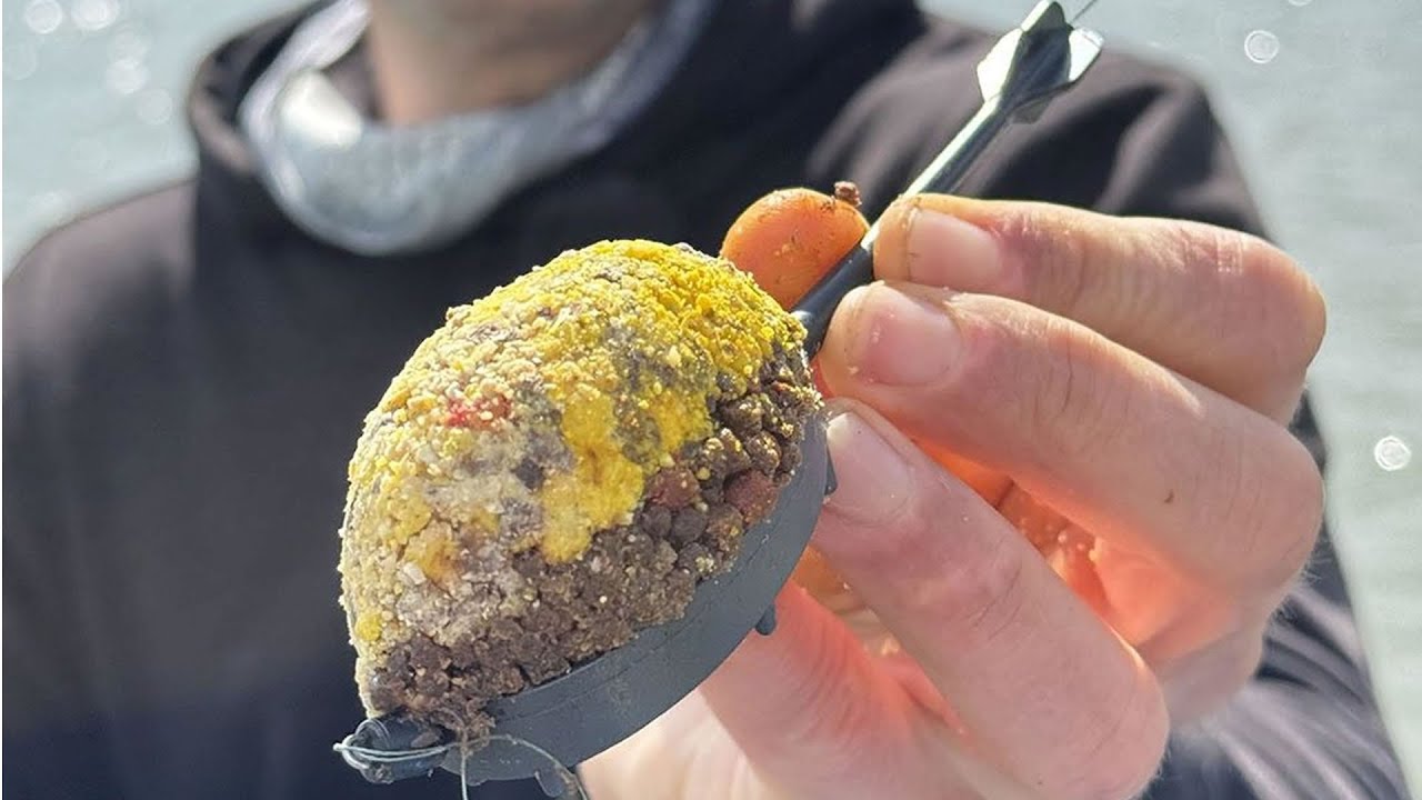 Kaprové rybaření na method feeder na Balaton #rybaření