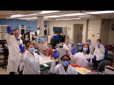 Johns Hopkins Hospital Human Resources