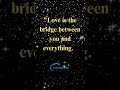 Love is the bridge between you and everything/ Love quotes #quote