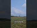 AFFORDABLE DRYLAND FOR SALE ALONG THE LAGOS-CALABAR COASTAL HIGHWAY IMEDU TOWN IBEJU-LEKKI LAGOS