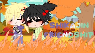•MADE A FRIENDSHIP BRACELET FOR YOU•||meme||SHIKAJIN FRIENDSHIP|| screenshot 3