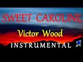 SWEET CAROLINE   VICTOR WOOD instrumental lyrics