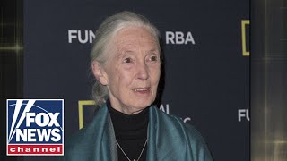 BREAKING: Legendary scientist Jane Goodall dead at 91
